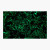 Carbon Fiber Blister - Dark matter Glow - Fat Carbon