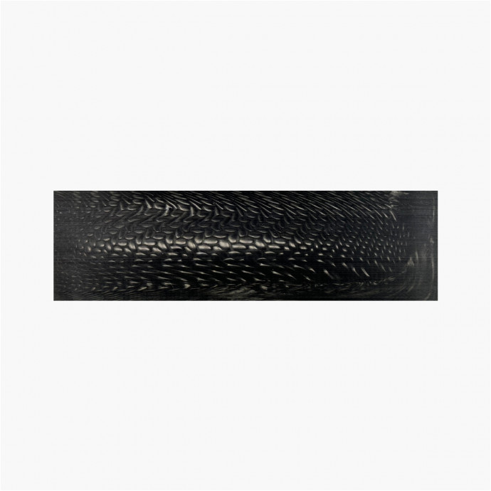 Scales Juma® - Carbon Snake
